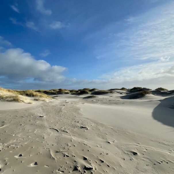 tide4-silvester-amrum_4