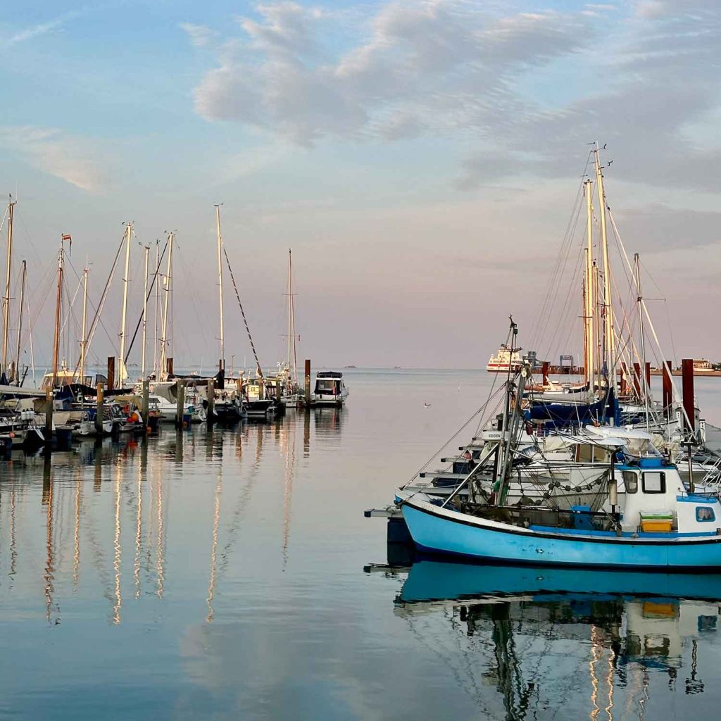 tide4-amrum-inselorte-wittduen_2